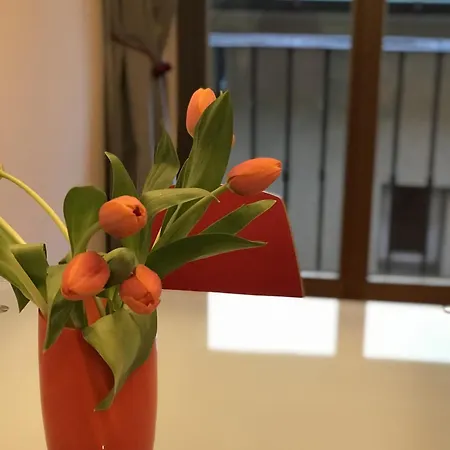 Апартаменты Casa Nirvana *