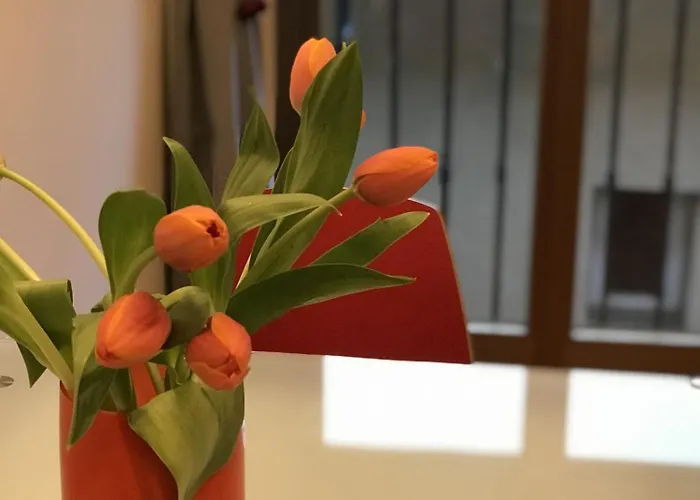 Apartmán Casa Nirvana *